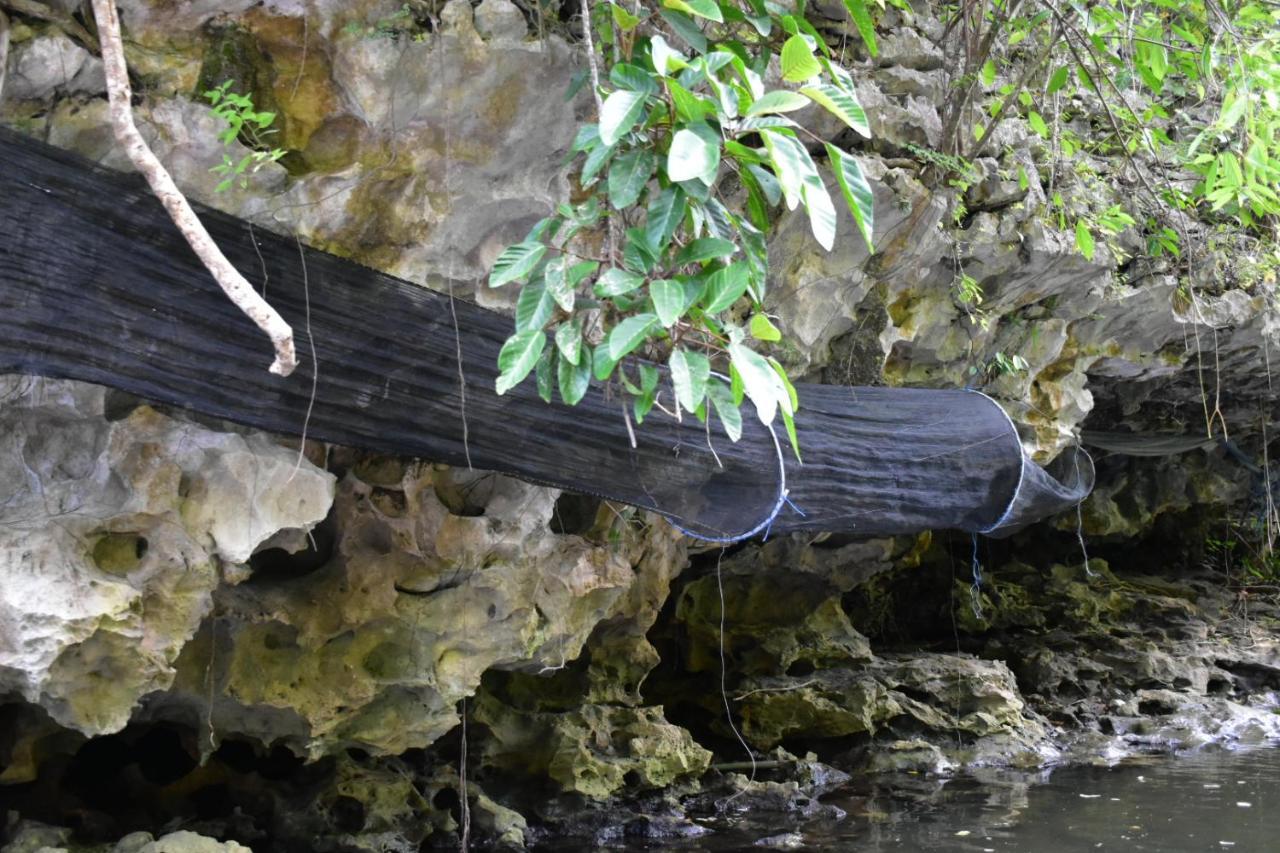 Affittacamere Kampoeng Karst Rammang Rammang Kasijala Esterno foto