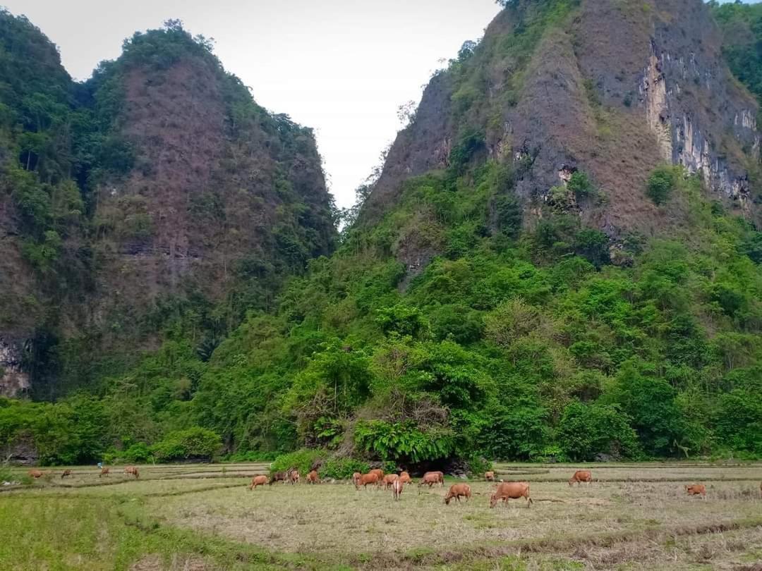 Affittacamere Kampoeng Karst Rammang Rammang Kasijala Esterno foto