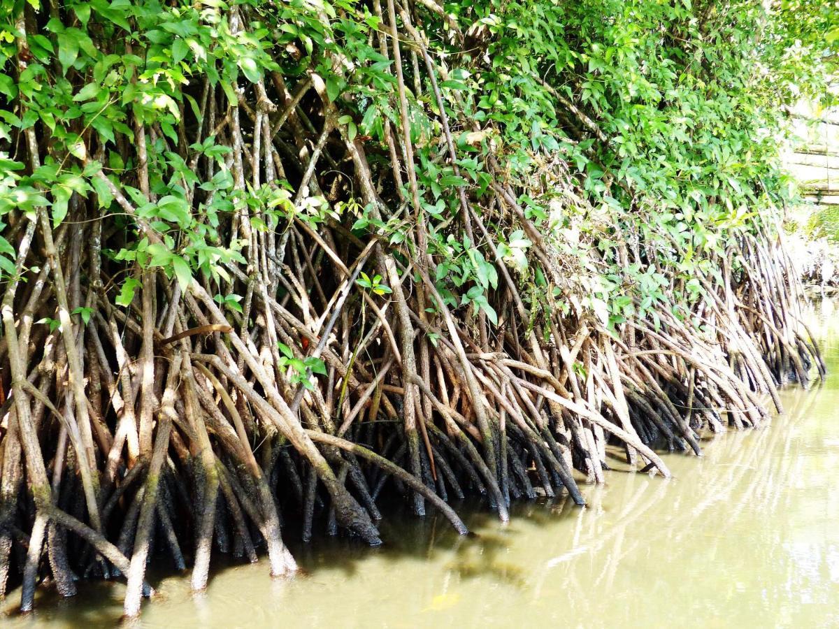Affittacamere Kampoeng Karst Rammang Rammang Kasijala Esterno foto