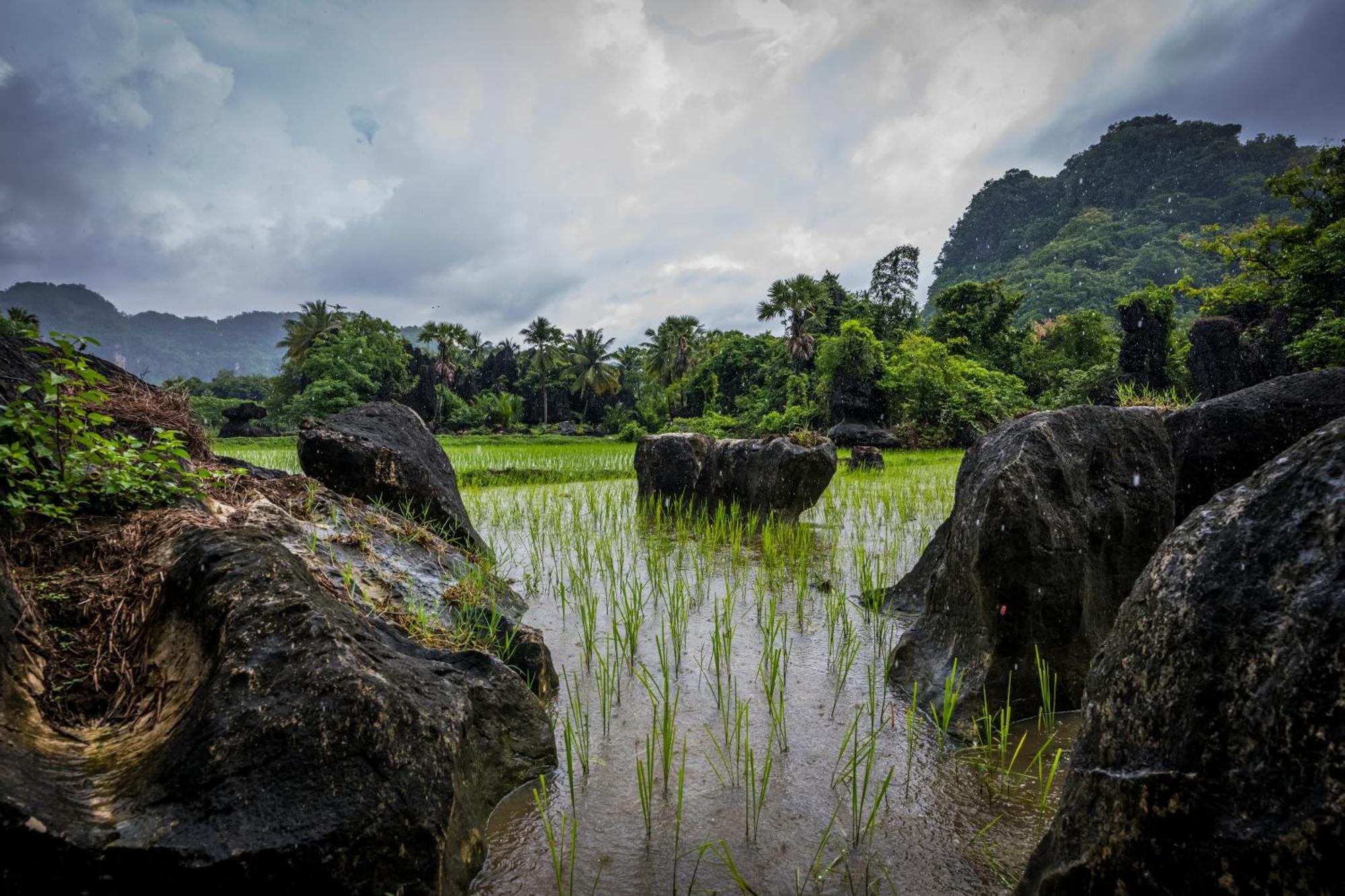 Affittacamere Kampoeng Karst Rammang Rammang Kasijala Esterno foto